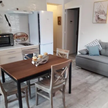 Enclos savoyard Appartement meublé 1chambre 1 canapé lits 3personnes Grand-Aigueblanche Extérieur photo