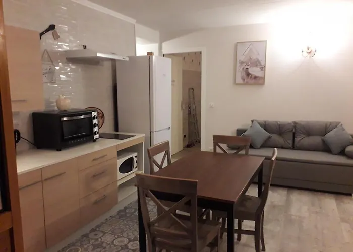Enclos Savoyard Appartement Meuble 1Chambre 1 Canape Lits 3Personnes